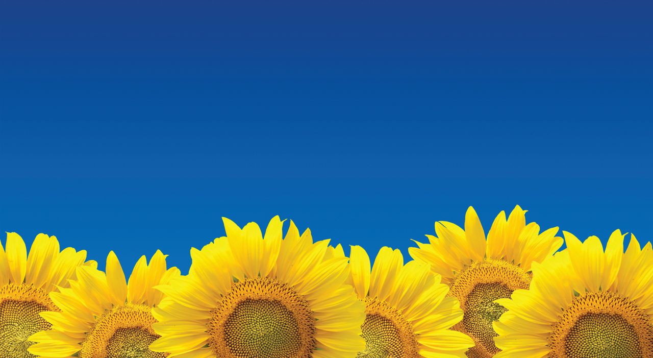 img-PrintFlat_removes_banding_on_inkjet_output-applied