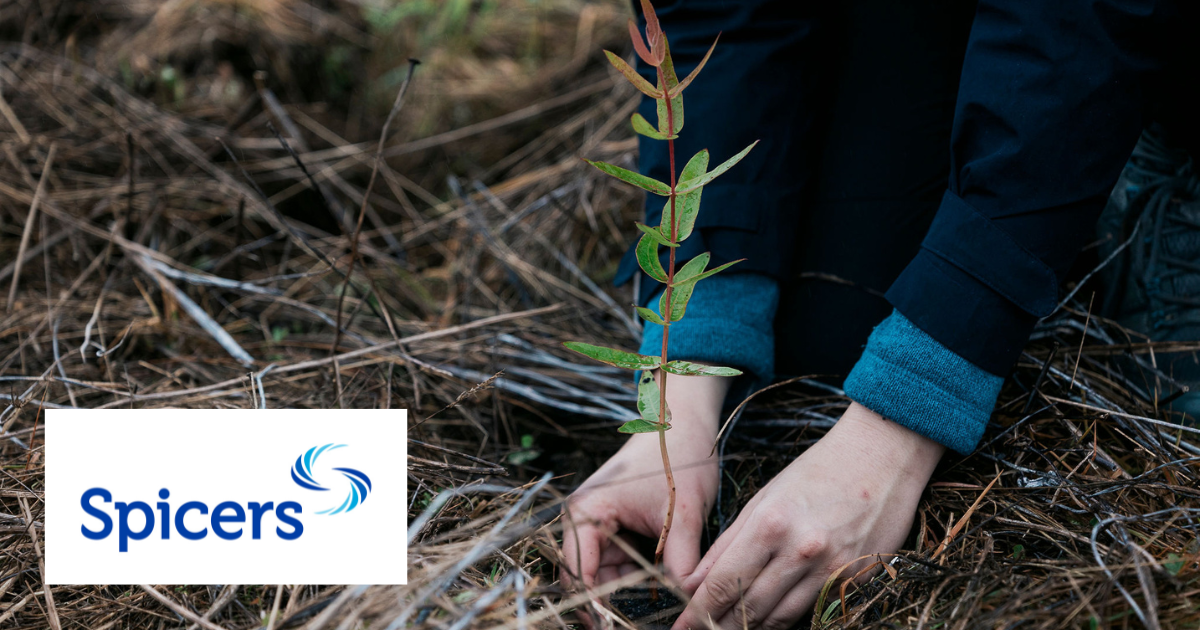 img-Spicers-1200x630