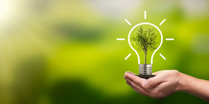 Light bulb with growing tree. Ecological friendly and sustainable environment