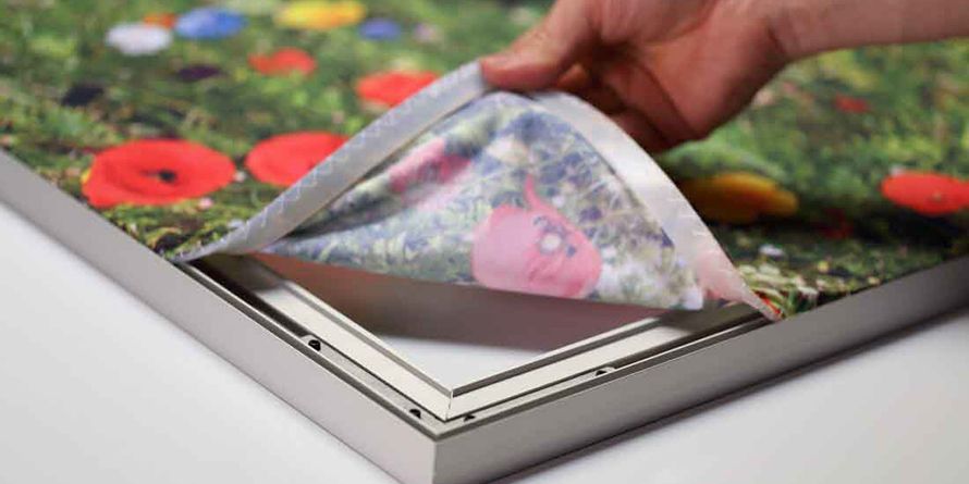 img-thumbnail_Vivaframe-EDITED