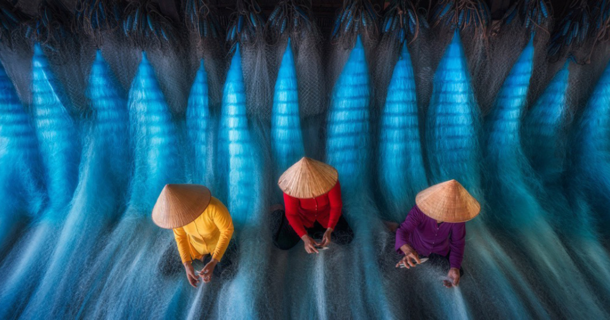 The winner of The Epson Digital Art Prize 2025